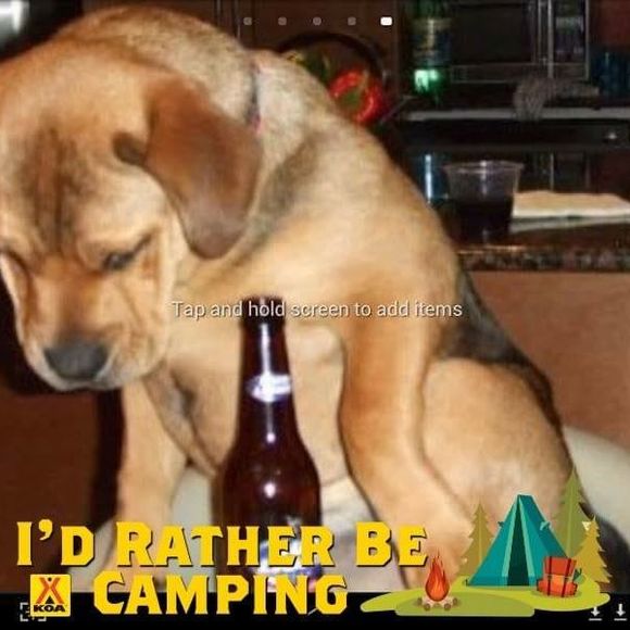 Meet your Posher, Randy - Picture 1 of 1